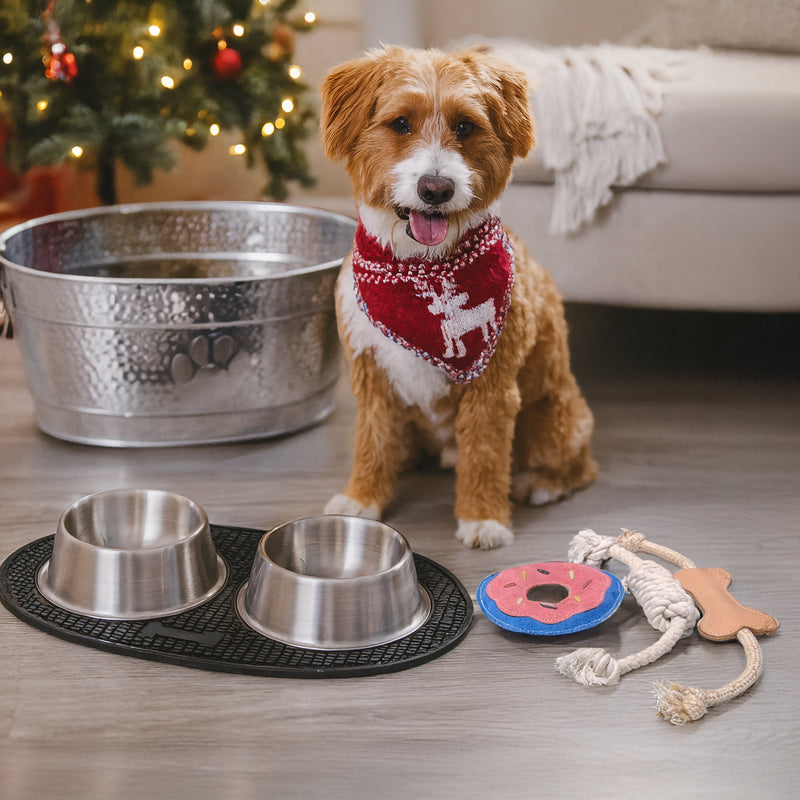 Play & Dine Gift Set - Premium Dog Bowls with No Slip Mat + Set of 3 Dog Toys & Large Steel Dog Toy Bin | BREKX