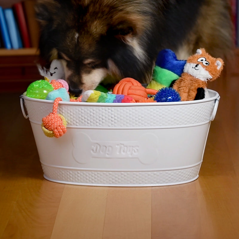 Dog Toy Bin Indestructible - Embossed "Dog Toys" Bone - White Medium | BREKX